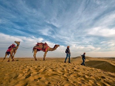 Camel Safari