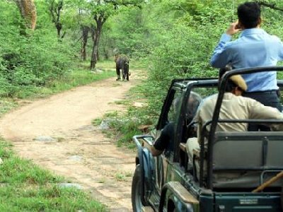 Sariska Tiger Reserve